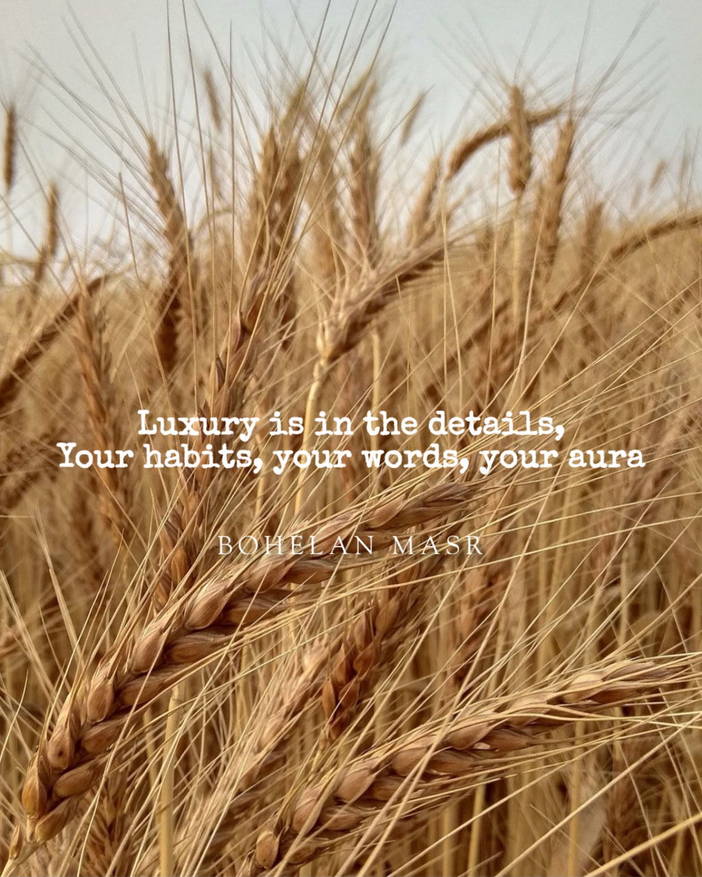 Eclipse Duo Vases